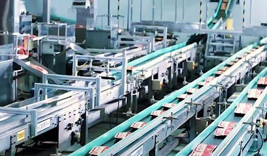 安徽零食巨頭 科技創新驅動下的商業輝煌